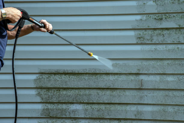 Best Deck Pressure Washing  in River Road, OR